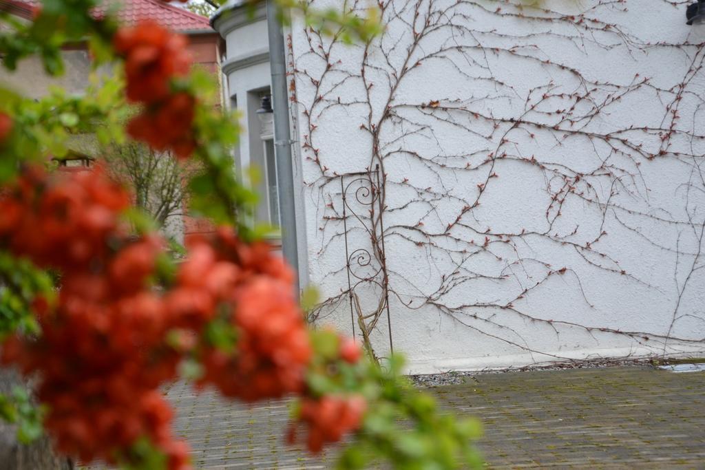Villarada Łagów Екстериор снимка